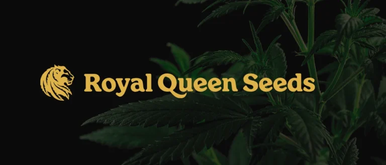logo Royal queen Seeds