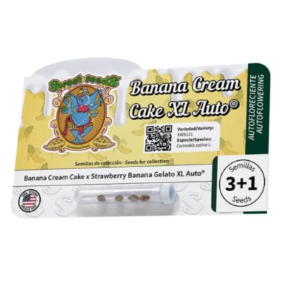 SWEET SEEDS - BANANA CREAM CAKE XL AUTO® FEM - immagine 2