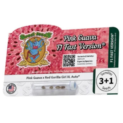 SWEET SEEDS - PINK GUAVA F1 FAST VERSION® FEM (SWS124) - Imagen 2