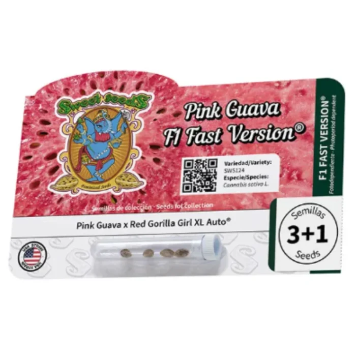 SWEET SEEDS - PINK GUAVA F1 FAST VERSION® FEM (SWS124) | 5+2 SEMI - immagine 2