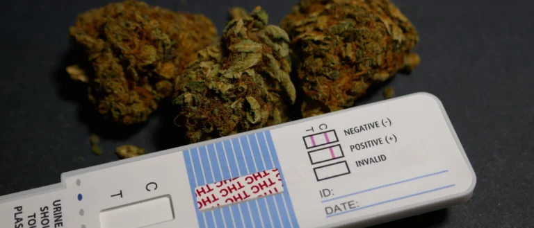 Test THC nelle urine
