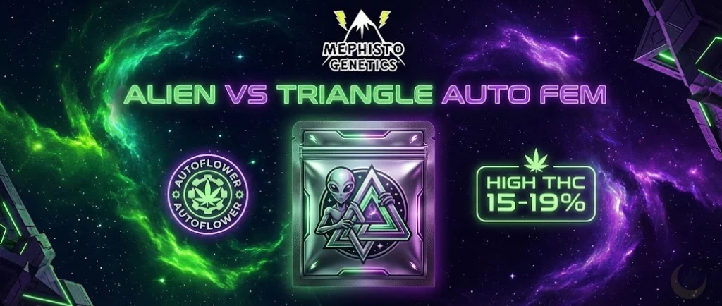 Alien vs Triangle Auto Fem: Un'esperienza visiva fantascientifica con un tema cosmico. Utilizza colori neon verde e viola, con grafiche geometriche di alieni e triangoli. Evoca un'energia sativa dominante e include i badge "Autoflower" e "High THC 15-19%".