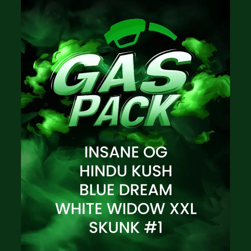 BARNEYS-FARM-GAS-PACK-FEM_logo.webp BARNEY'S FARM - GAS PACK FEM - immagine 1