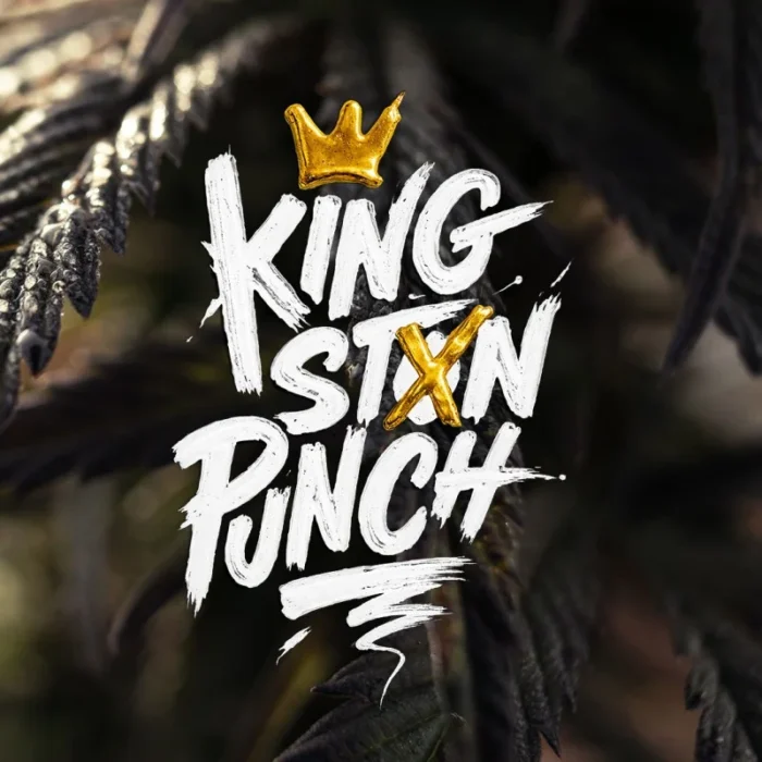 DUTCH PASSION - KINGSTON PUNCH FEM - immagine 2