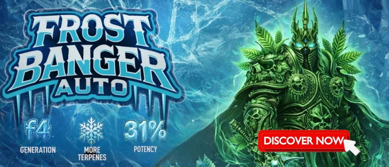 Wide banner illustration of a frost-themed armored knight with cannabis-inspired green armor and glowing icy sword, surrounded by frozen crystals and cannabis leaves, representing Frost Banger Auto, one of the best cannabis autoflower strains from Fast Buds.