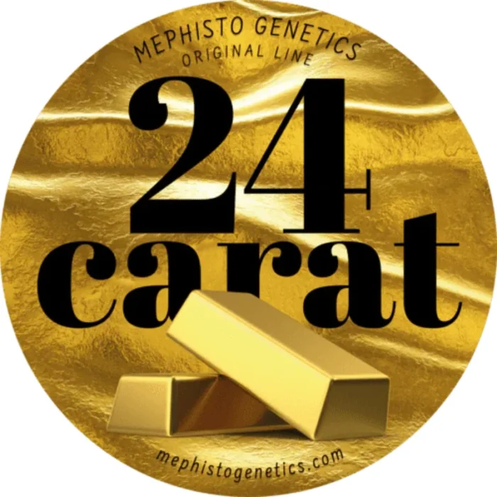 MEPHISTO GENETICS - 24 CARAT AUTO FEM | 3+2 SEMI - immagine 2