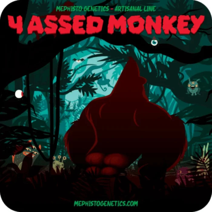 MEPHISTO GENETICS - 4 ASSED MONKEY AUTO FEM | 3+2 SEMI - immagine 2
