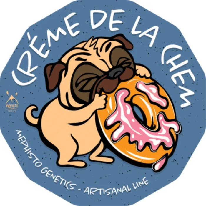 MEPHISTO GENETICS - CREME DE LA CHEM AUTO FEM | 3+2 SEMI - immagine 2