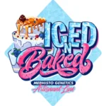 MEPHISTO GENETICS - ICE 'N' BAKED AUTO FEM | 3+2 SEMI - immagine 2