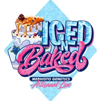 MEPHISTO GENETICS - ICE 'N' BAKED AUTO FEM | 3+2 SEMI - immagine 2