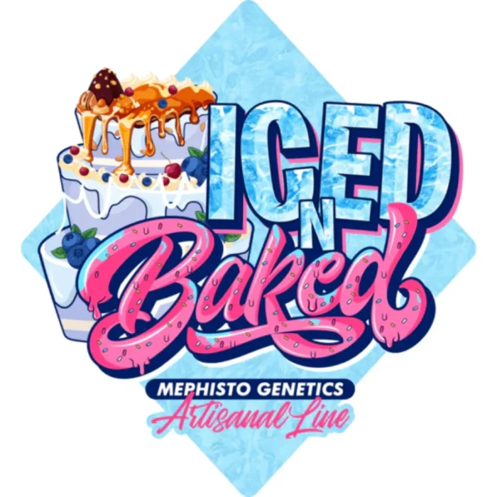 MEPHISTO GENETICS - ICE 'N' BAKED AUTO FEM | 3+2 SEMI - immagine 2