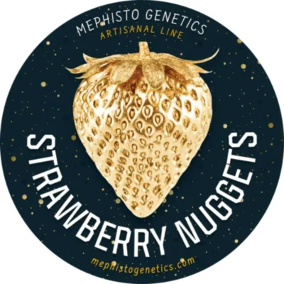 MEPHISTO GENETICS - STRAWBERRY NUGGETS AUTO FEM | 3+2 SEMI - immagine 2
