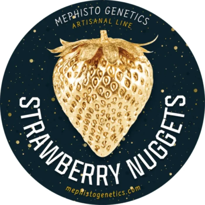 MEPHISTO GENETICS - STRAWBERRY NUGGETS AUTO FEM | 3+2 SEMI - immagine 2