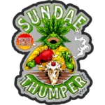 MEPHISTO GENETICS - SUNDAE THUMPER AUTO FEM | 3+2 SEMI - immagine 2