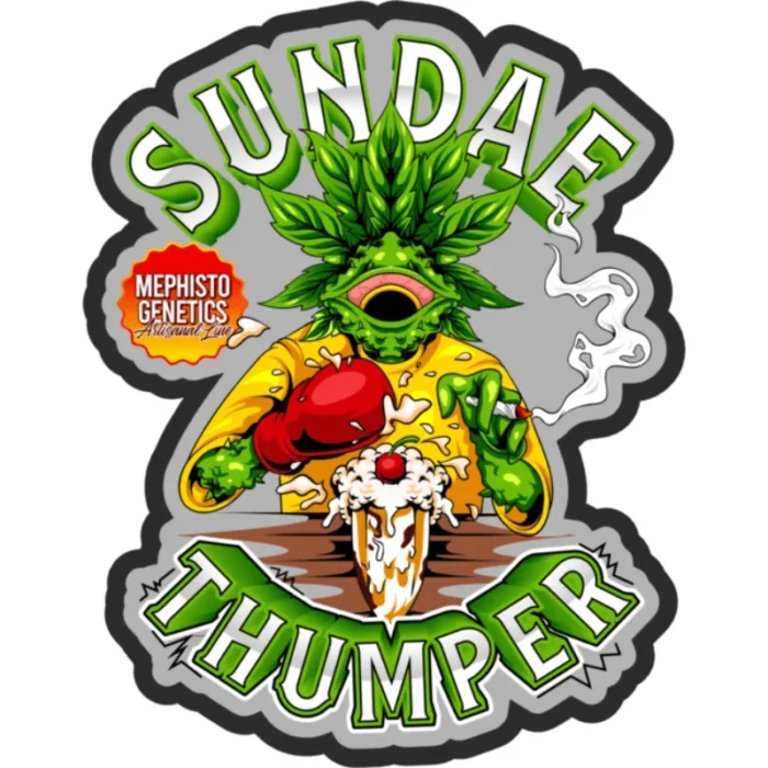 MEPHISTO GENETICS - SUNDAE THUMPER AUTO FEM | 3+2 SEMI - immagine 2