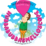 MEPHISTO GENETICS - HUBBABUBBASMELLOSCOPE AUTO FEM | 3+2 SEMI - immagine 2