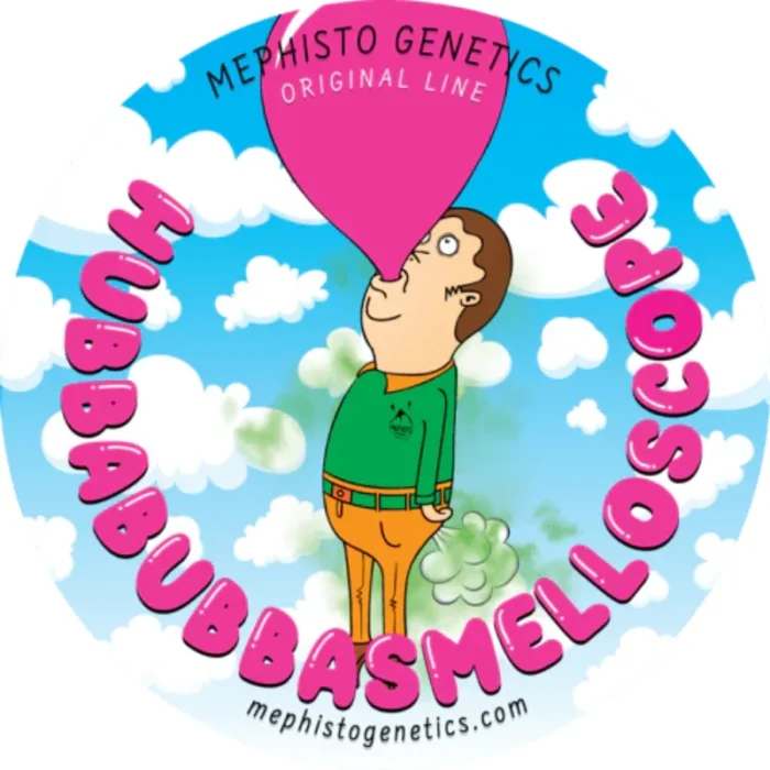 MEPHISTO GENETICS - HUBBABUBBASMELLOSCOPE AUTO FEM | 3+2 SEMI - immagine 2