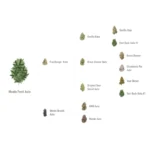 FAST BUDS - MENDO FROST AUTO FEM - immagine 2