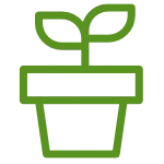 Ornamental hemp plants