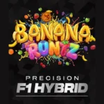 BARNEY'S FARM - BANANA RUNTZ FEM (PRECISION F1 HYBRID)