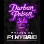 BARNEY'S FARM - DURBAN POISON FEM (PRECISION F1 HYBRID)