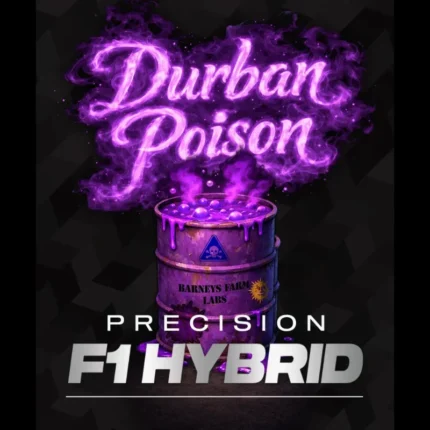 BARNEY'S FARM - DURBAN POISON FEM (PRECISION F1 HYBRID)