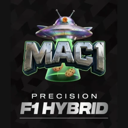 BARNEY'S FARM - MAC 1 FEM (PRECISION F1 HYBRID)