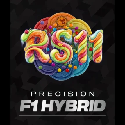 BARNEY'S FARM - RS11 FEM (PRECISION F1 HYBRID)