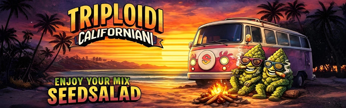 Vibrant illustration of a retro VW bus on a beach at sunset, two cartoon hop cone characters by a campfire, promoting Triploidi Californiani Seedsalad with bold text.