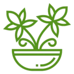 Green stylized potted plant with two flower-shaped leaves in a decorative pot.