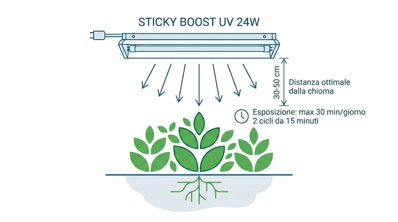 UV-B tricomas resina cannabis cultivo indoor