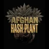 BARNEY'S FARM - AFGHAN HASH PLANT AUTO FEM