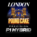 BARNEY'S FARM - LONDON POUND CAKE AUTO FEM