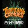 BARNEY'S FARM - TROPICANA COOKIES AUTO FEM